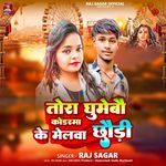 Tora Ghumebo Koderma Ke Melawa Chhaudi