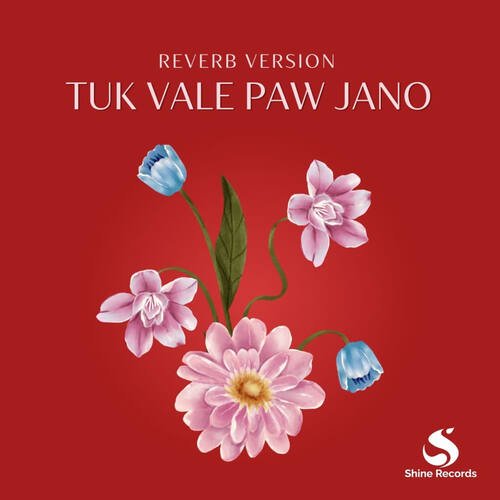 Tuk Vale Paw Jano (Reverb)