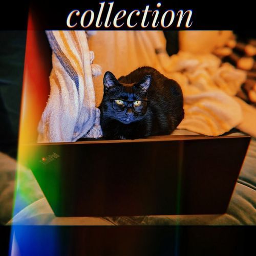 collection