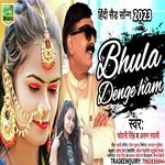 Bhula Denge Hum