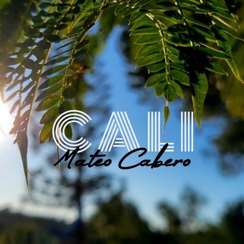 Cali cover art