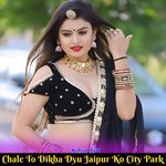 Chale To Dikha Dyu Jaipur Ko City Park