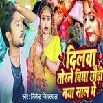 Dilwa Torle Biya Chhauri Naya Sal Me