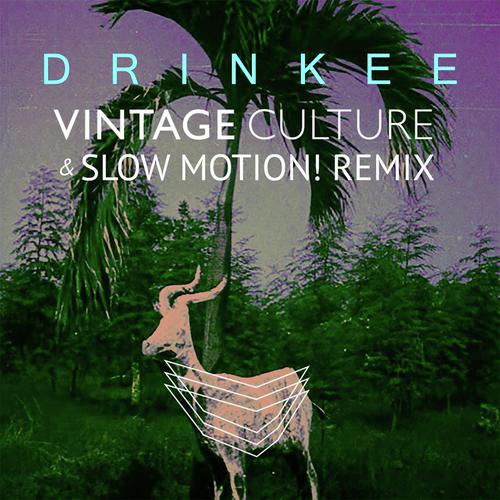 Drinkee (Vintage Culture &amp; Slow Motion! Remix)_poster_image