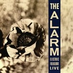 Rescue Me (Live)