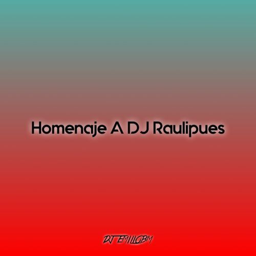 Homenaje A DJ Raulipues cover art
