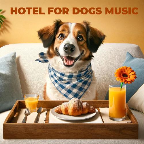 Hotel for Dogs Music: Calm Piano for Relaxed Dogs_poster_image