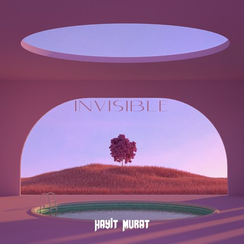 Invisible (Hayit Murat) cover art