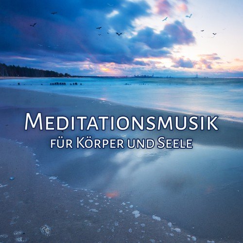 Delikat Musik (Flute Soloist) cover art