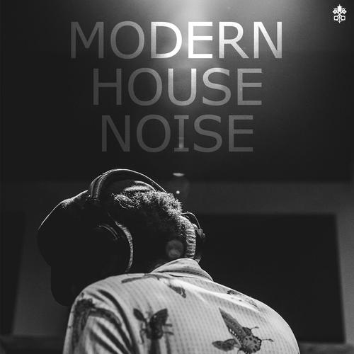 Modern House Noise