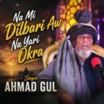 Na Mi Dilbari Aw Na Yari Okra