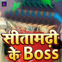 Sitamarhi Ke Boss