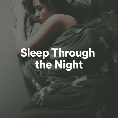 Sleep Through the Night