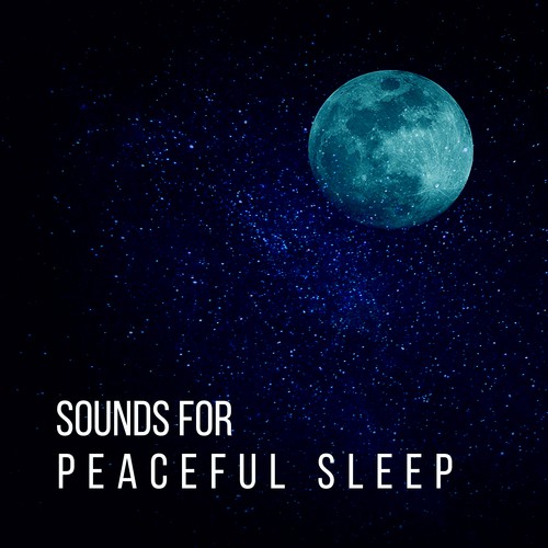 Fire Sounds cover art