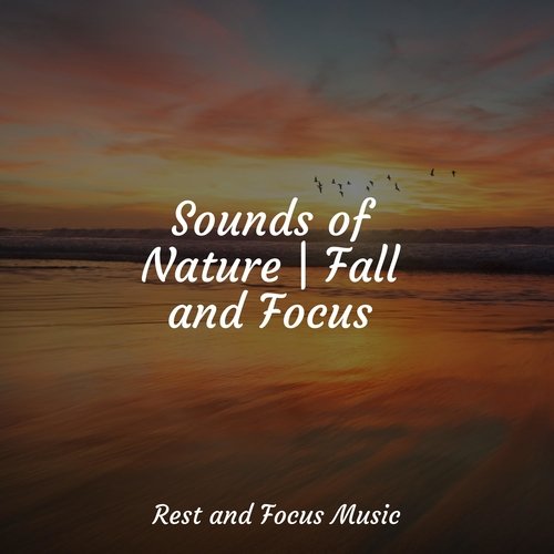 Sounds of Nature | Fall and Focus_poster_image