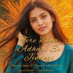 Tere Bina Adhuri Si Jindegi