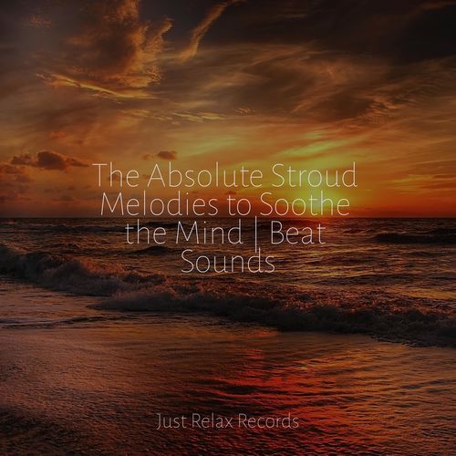 The Absolute Stroud Melodies to Soothe the Mind | Beat Sounds