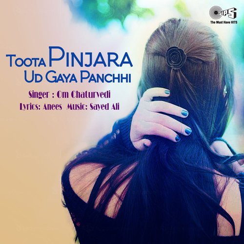 Toota Pinjara Ud Gaya Panchhi