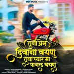 Tuna Prem Diwana Vhaynu Tuna Pyar Ma Pagal Vhaynu