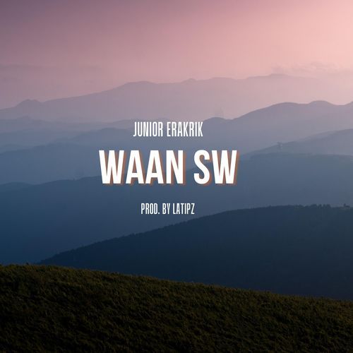Waan SW cover art