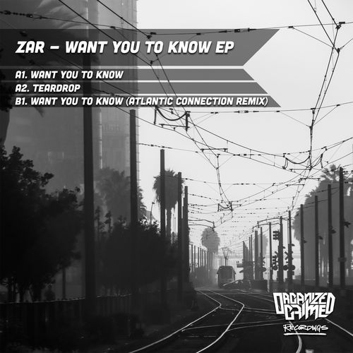 Want You To Know (Atlantic Connection Remix) cover art