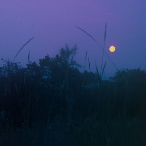 4 am