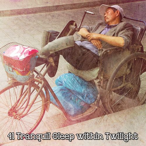 41 Tranquil Sleep within Twilight_poster_image