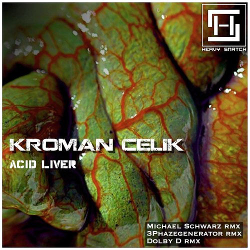Acid Liver (Dolby D Remix) cover art