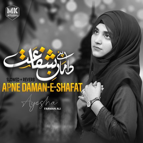 Apne Damaan E Shafayat (Lofi-Mix)