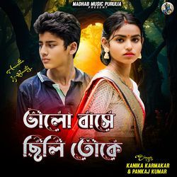 Bhalo Base Chhili Toke