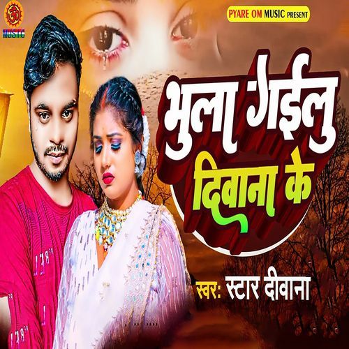 Bhula Gailu Diwana Ke