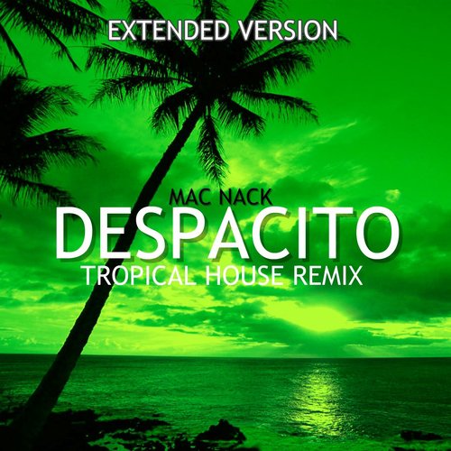 Despacito (Tropical House Mix Extended Version)_poster_image