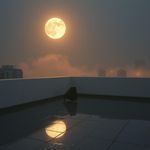 Echoes Of You