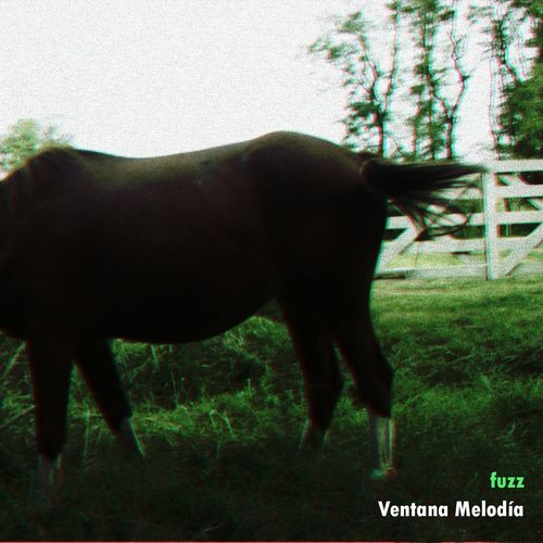 Fuzz cover art