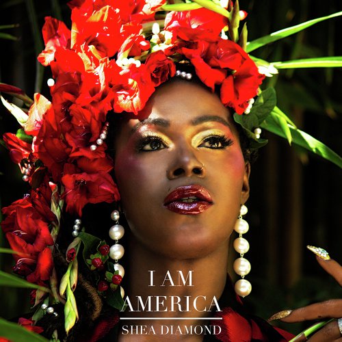 I Am America_poster_image