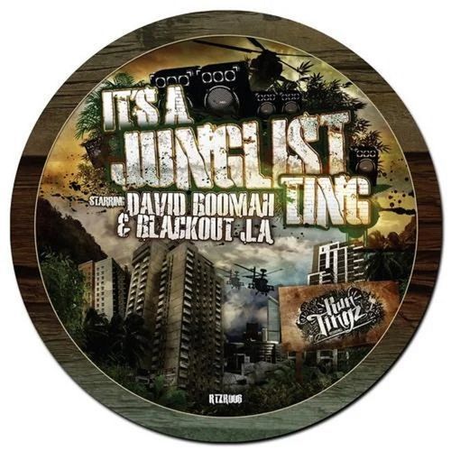 It's A Junglist Ting (RCola Remix) cover art