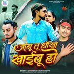 Janu Tu Dhokha Khaibu Ho