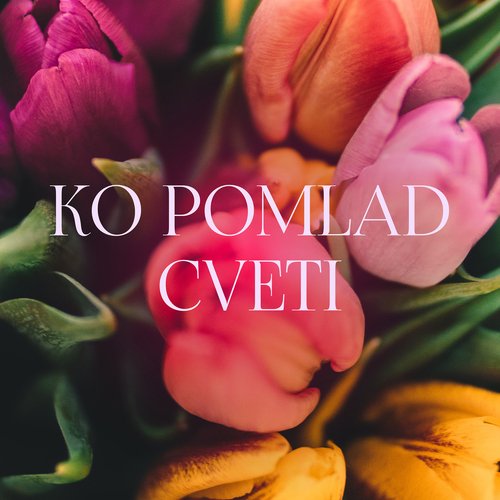 Ko Pomlad Cveti