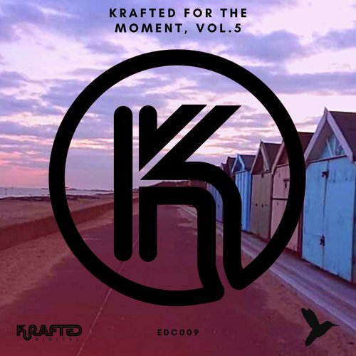 Krafted for the Moment, Vol. 5