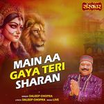 Main Aa Gaya Teri Sharan