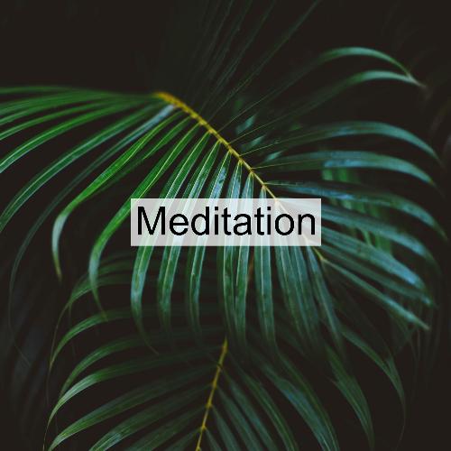 Meditation