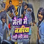 Mela Me Najariya Ladi Ladi Jay