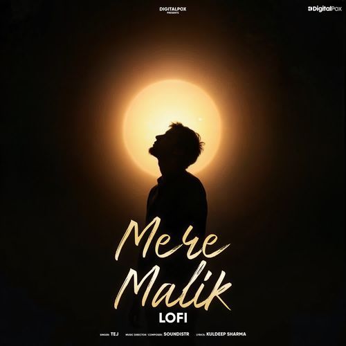 Mere Malik Lofi