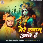Mere Shyaam Aate Hain