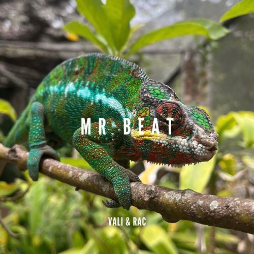 Mr. Beat (Radio Edit) cover art
