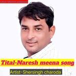 Naresh meena song artwork