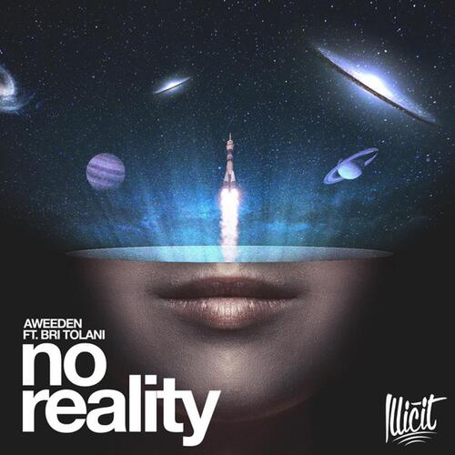 No Reality (feat. Bri Tolani)_poster_image