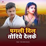 Pagli Dil Toriye Delke