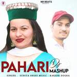 Pahari Dj Mashup