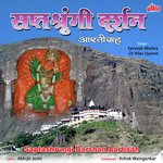 Saptashrungi Darshan